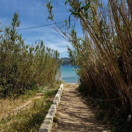 Mazet - Domaine De La Pinede Pramousquier -